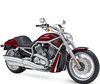 LEDs und HID-Xenon-Kits für Harley-Davidson V-Rod 1130 - 1250