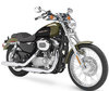 LEDs und HID-Xenon-Kits für Harley-Davidson Custom 883