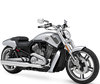 LEDs und HID-Xenon-Kits für Harley-Davidson V-Rod Muscle 1250
