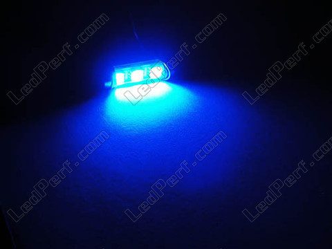 LED-Lampe 37 mm C5W Ohne Fehler Odb - Antifehler odb blau