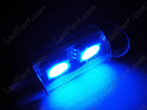 Lampe Soffittenlampe 31 mm mit LEDs blaue - C3W
