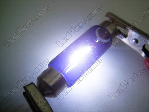 Lampe 42mm C10W Halogen Blue Anblick Xenon LED-Effekt