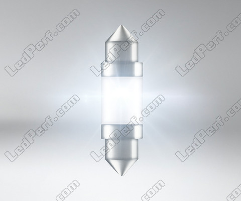 Beleuchtung Osram Ledriving SL 36mm C5W LED Pendelleuchte - Weiß 6000K - 6418DWP-01B