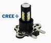 LED-Lampe PH16W CREE Leds bei Detail Leds PH16W