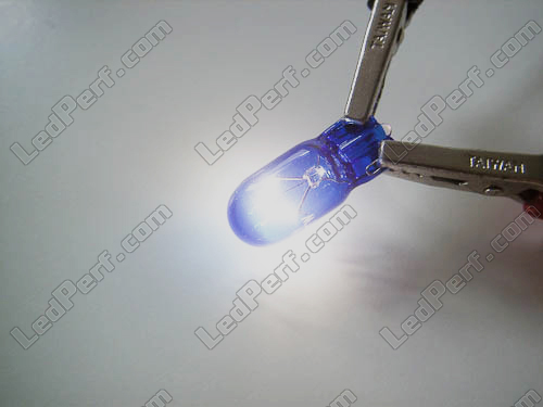 Pack mit 2 Halogenlampen - Weiß Xenon - Lampe W16W