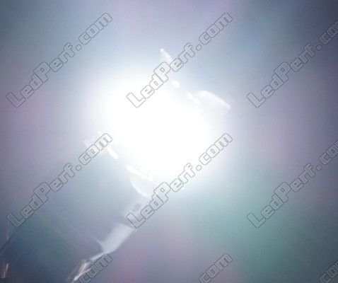 W21W LED-Serie Geisterlicht weiß