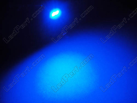 LED T5 Efficacity W1.2W a 2 led blaue