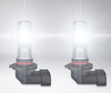 H10 Osram LEDriving Standard LED Birnen für Nebelscheinwerfer im Einsatz