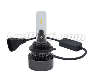 H10 LED Eco Line Lampen Plug-and-Play-Verbindung und Canbus Anti-Error