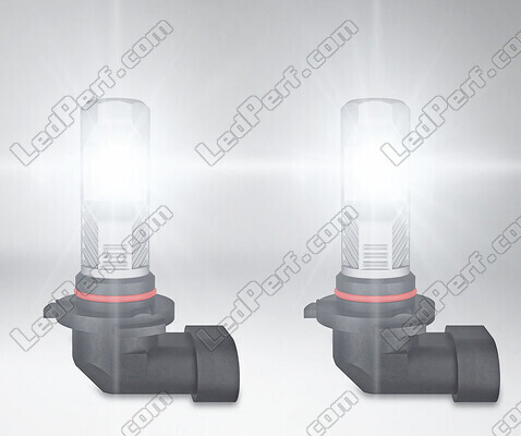 H10 Osram LEDriving Standard LED Birnen für Nebelscheinwerfer im Einsatz