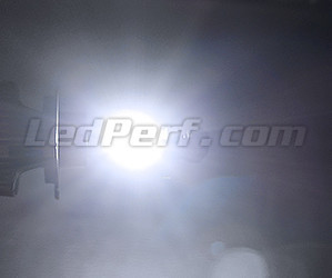 Led H11 Hochleistungs-LED Motorrad Roller und Quad