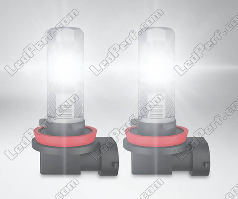 H11 Osram LEDriving Standard LED Birnen für Nebelscheinwerfer im Einsatz
