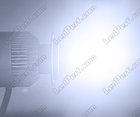 Lampe LED COB H3 Motorrad