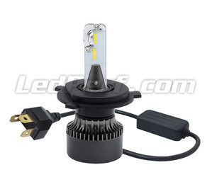H4 LED Eco Line Lampen Plug-and-Play-Verbindung und Canbus Anti-Error