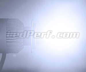 LED-Lampe H4 COB Motorrad