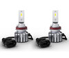 Paar H9 LED Birnen Osram LEDriving HL Bright - 64211DWBRT-2HFB
