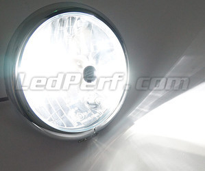 Lampe HB3 LED Motorrad einstellbar - Beleuchtung Weiß pur
