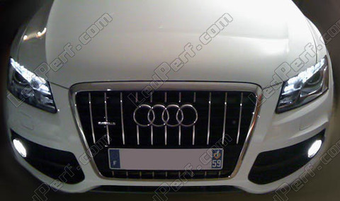 Packen Sie die Lampen Nebelscheinwerfer Xenon für Audi Q5 Led