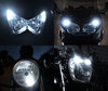 Led Standlichter Weiß Xenon Can-Am DS 450 Tuning