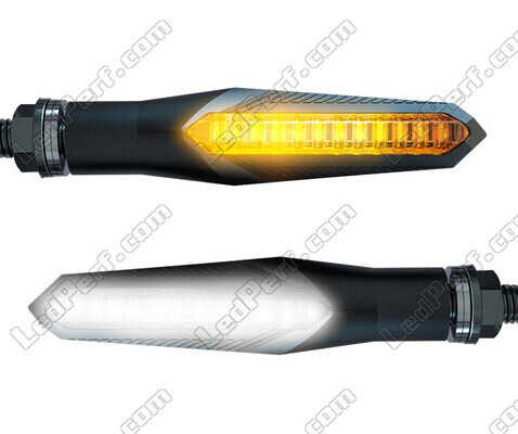 2-in-1 Sequentielle LED-Blinker mit Tagfahrlicht für Can-Am RS et RS-S (2009 - 2013)