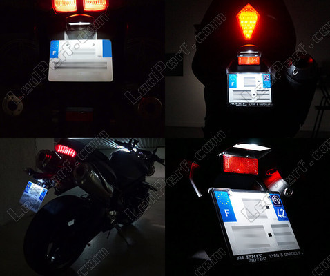 Led Kennzeichen Can-Am RS et RS-S (2014 - 2016) Tuning