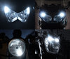 Led Standlichter Weiß Xenon Can-Am RT-S (2011 - 2014) Tuning