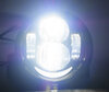 LED-Scheinwerfer für Harley-Davidson Fat Bob 1584 - Zugelassene runde Motorradoptiken