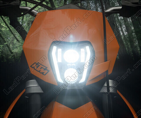 LED-Scheinwerfer für KTM EXC-F 350 (2014 - 2019)