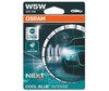 Paar Osram W5W Cool blue Intense Next Gen LED Effect 4000K Glühbirnen