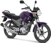 Motorrad Yamaha YBR 125 (2010 - 2013) (2010 - 2013)