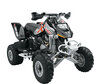 Quad Can-Am DS 650 (2002 - 2002)