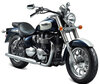 Motorrad Triumph America 865 (2007 - 2014)