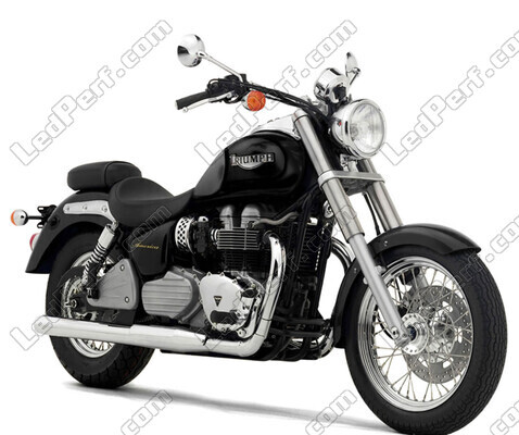 Motorrad Triumph America 790 (2001 - 2007)