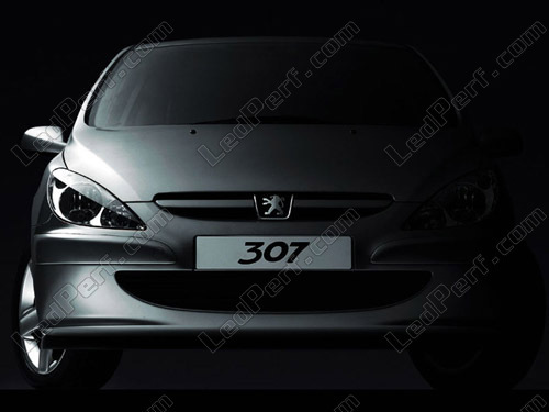 LED-Pack für Rückfahrlicht für Peugeot 307 phase 2