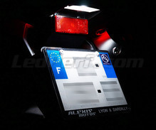 LED-Kennzeichenbeleuchtungs-Pack (Xenon-Weiß) für Honda CBR 600 RR (2013 - 2016)