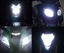 Scheinwerferlampen-Pack mit Xenon-Effekt für Kawasaki GTR 1000