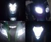 Scheinwerferlampen-Pack mit Xenon-Effekt für BMW Motorrad F 650 GS  (2001 - 2008)