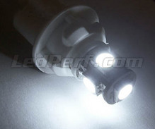 Standlicht-LED-Pack (Xenon-Weiß) für Volkswagen Passat CC