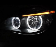 Pack Angel-Eyes mit LEDs für BMW Serie 5 E60 E61 Ph 2 (LCI) - ohne Original-Xenon