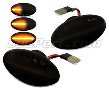 Dynamische LED-Seitenblinker für Mini Cooper II (R50 / R53)