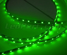 Band flexibel Standard mit einer Länge von 50 cm ( 30 LEDs SMD ) grün