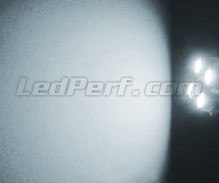 Standlicht-LED-Pack (Xenon-Weiß) für Volkswagen Lupo
