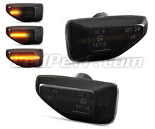 Dynamische LED-Seitenblinker für Dacia Sandero 2