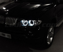 Pack Angel Eyes mit LEDs für BMW X5 (E53) - Standard