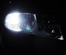Standlicht-LED-Pack (Xenon-Weiß) für Skoda Octavia 2