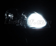 Standlicht-LED-Pack (Xenon-Weiß) für Kia Ceed et Pro Ceed 1