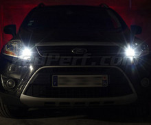 Standlicht-LED-Pack (Xenon-Weiß) für Ford Kuga