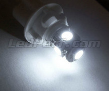 Standlicht-LED-Pack (Xenon-Weiß) für Nissan Cube