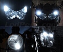Standlicht-LED-Pack (Xenon-Weiß) für Indian Motorcycle Chieftain classic / springfield / deluxe / elite / limited  1811 (2014 - 2019)