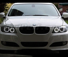 Pack Angel-Eyes mit LEDs für BMW Serie 3 (E90 - E91) Phase 2 (LCI) - Mit Original-Xenon - MTEC V3.0